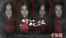 绣花鞋电影在线观看完整版,穿越时空的神秘爱情传奇